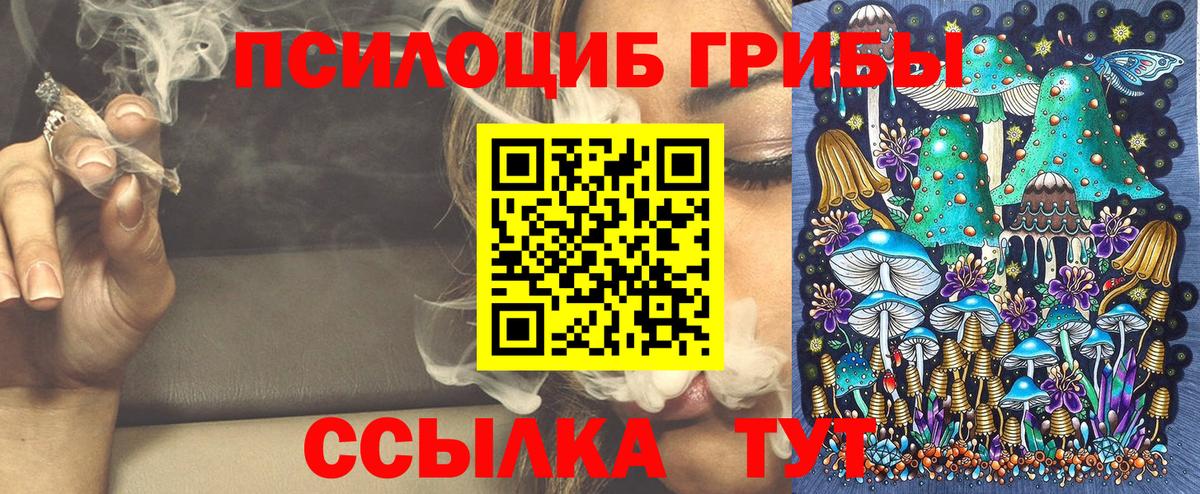 Псилоцибиновые грибы мухоморы  Вход с VPN  Лесной  Псилоцибиновые грибы прущие грибы 