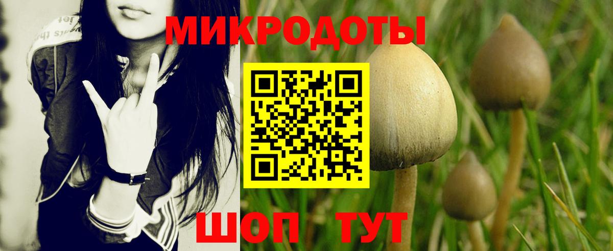 Псилоцибиновые грибы GOLDEN TEACHER Лесной